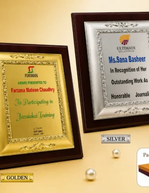 FP-10618 Silver & Gold Certificate Frame