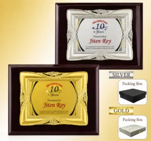 FP-10628 Gold & Silver Celebrating Frame