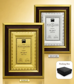 FP-10643 Gold & Silver Certificate Frame