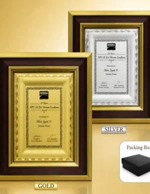 FP-10643 Gold & Silver Certificate Frame