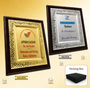 FP-10649 Silver & Gold Certificate Frame