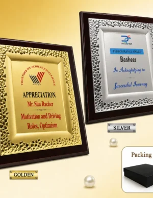 FP-10649 Silver & Gold Certificate Frame