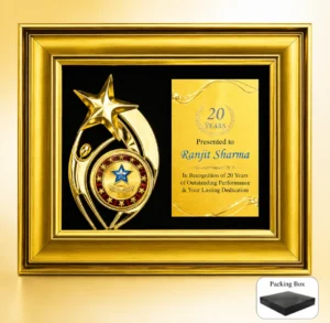 FP-10675 Gold Star Plaque