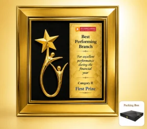 FP-10676 Gold Star Frame Plaque