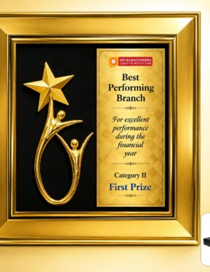 FP-10676 Gold Star Frame Plaque