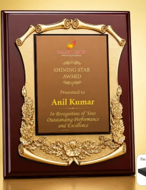 FP-10705 Maroon Star Frame Plaque