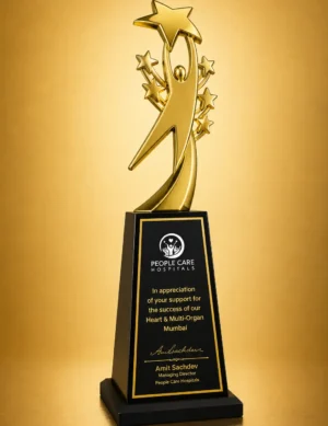 WM-9144 Gold Star Burst Trophy