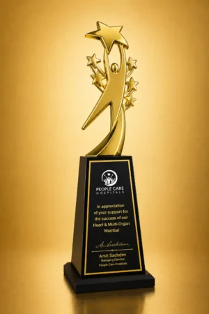 WM-9144 Gold Star Burst Trophy
