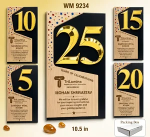 WM 9234