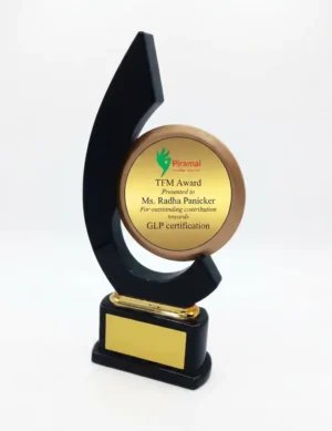 Excellence recognition award