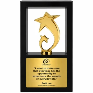 Gold star frame trophy award