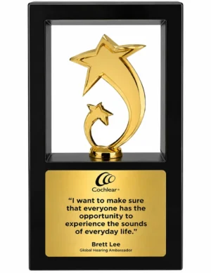 Gold star frame trophy award