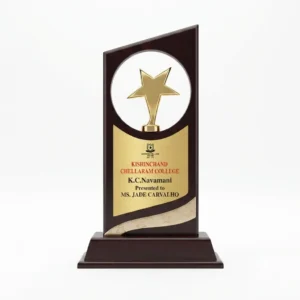 Gold star angular plaque award