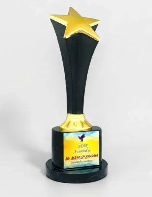 Wall mounted award plaque