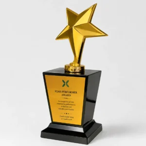 Silver star trophy award