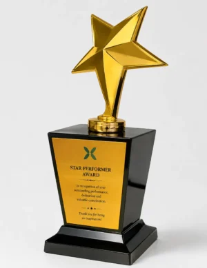 Silver star trophy award