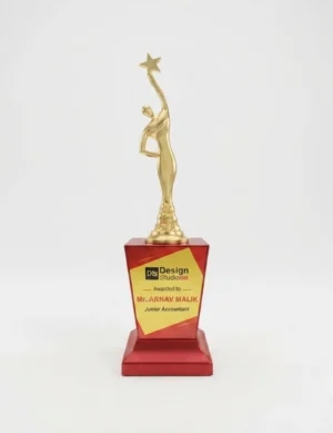 Excellence recognition award