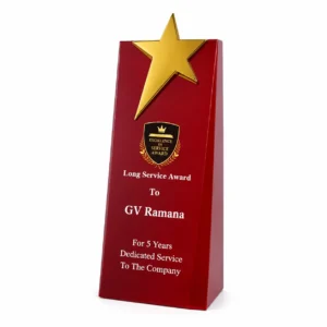 Executive recognition award