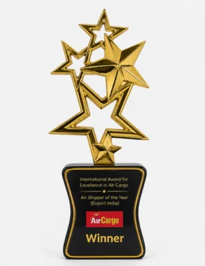 Premium crystal trophy award