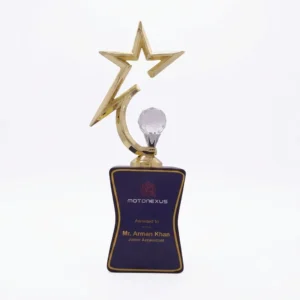 Figurine trophy award